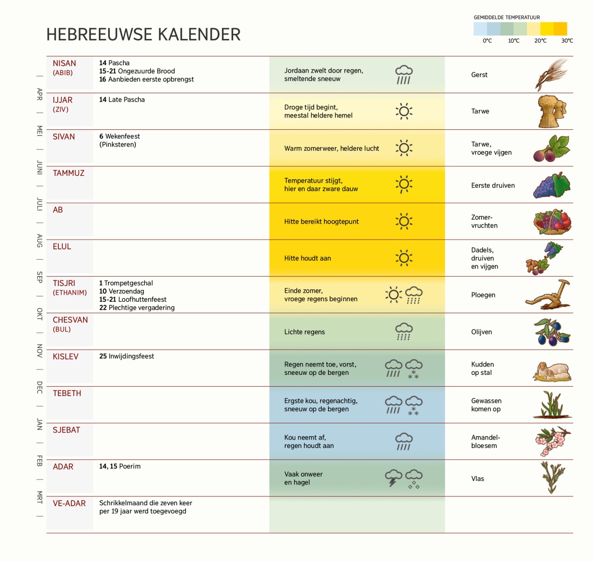 Een tabel van de Hebreeuwse kalender met de maanden, feesten, het weer en de gewassen.