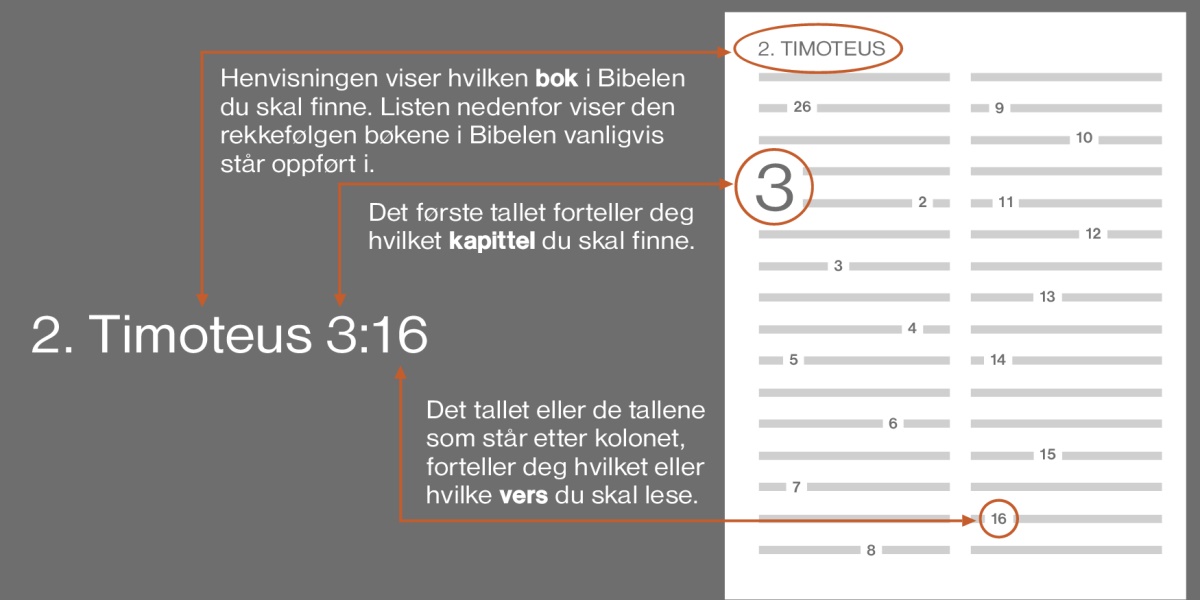 Hvordan man kan finne fram i Bibelen, for eksempel finne skriftstedet 2. Timoteus 3:16. Bibelhenvisningen forteller deg hvilken bok i Bibelen du skal finne fram til, i dette tilfellet 2. Timoteus (se listen under, som viser den vanligste rekkefølgen Bibelens bøker står i). Det første tallet forteller deg hvilket kapittel du skal slå opp i, i dette tilfellet kapittel 3. Det tallet eller de tallene som står etterpå, forteller deg hvilket eller hvilke vers du skal lese, i dette tilfellet vers 16.