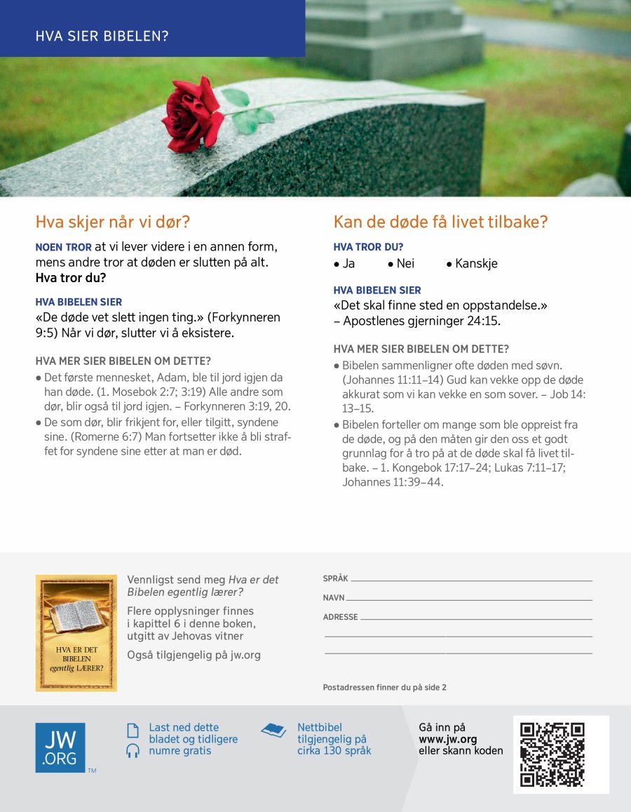 En rose på en gravstein