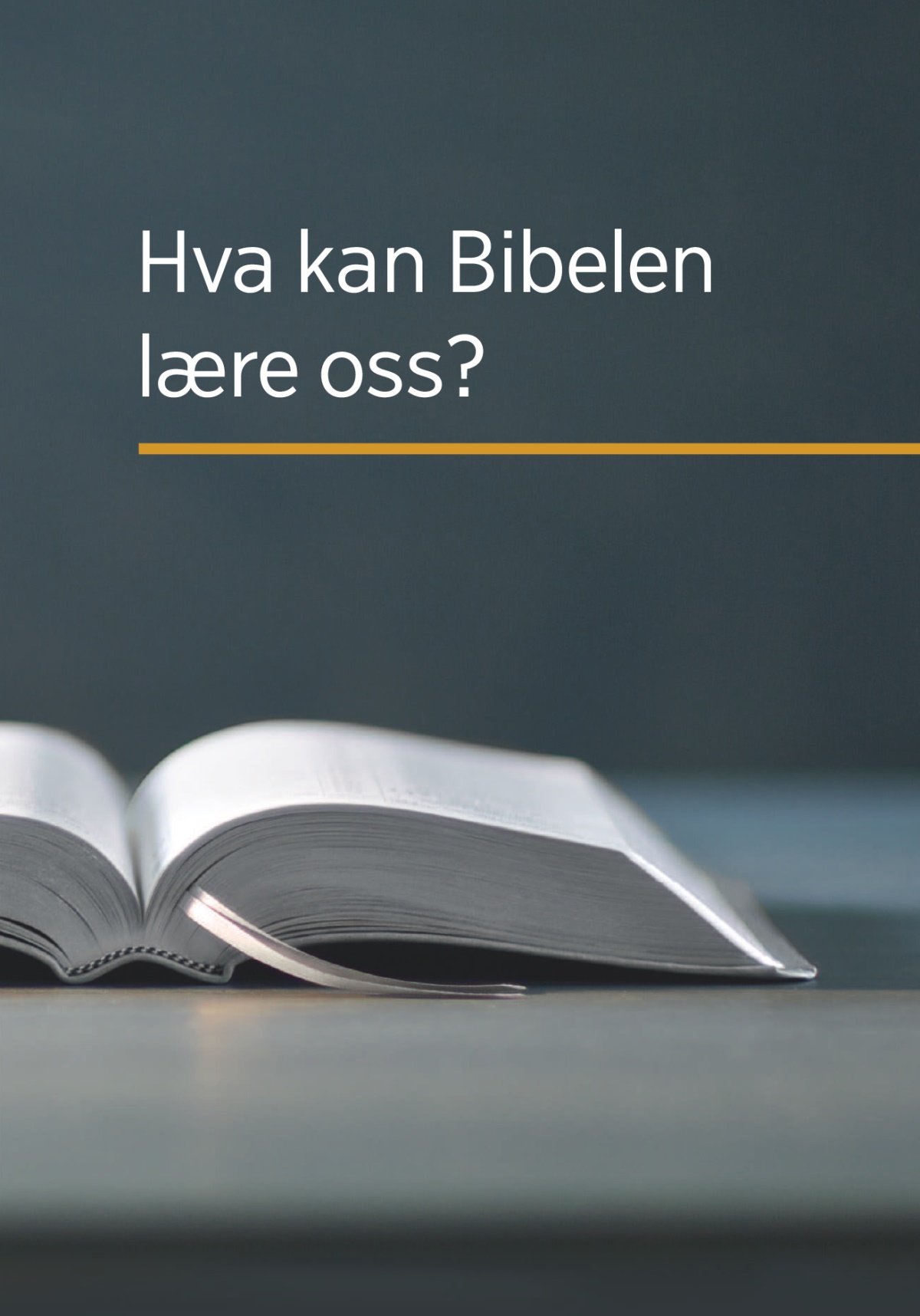 Forsiden av boken «Hva kan Bibelen lære oss?»