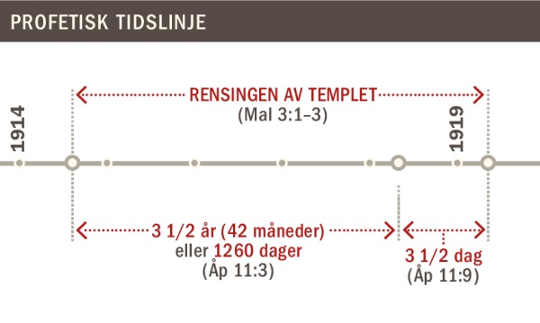 Tidslinje for rensingen av templet fra 1914 til 1919