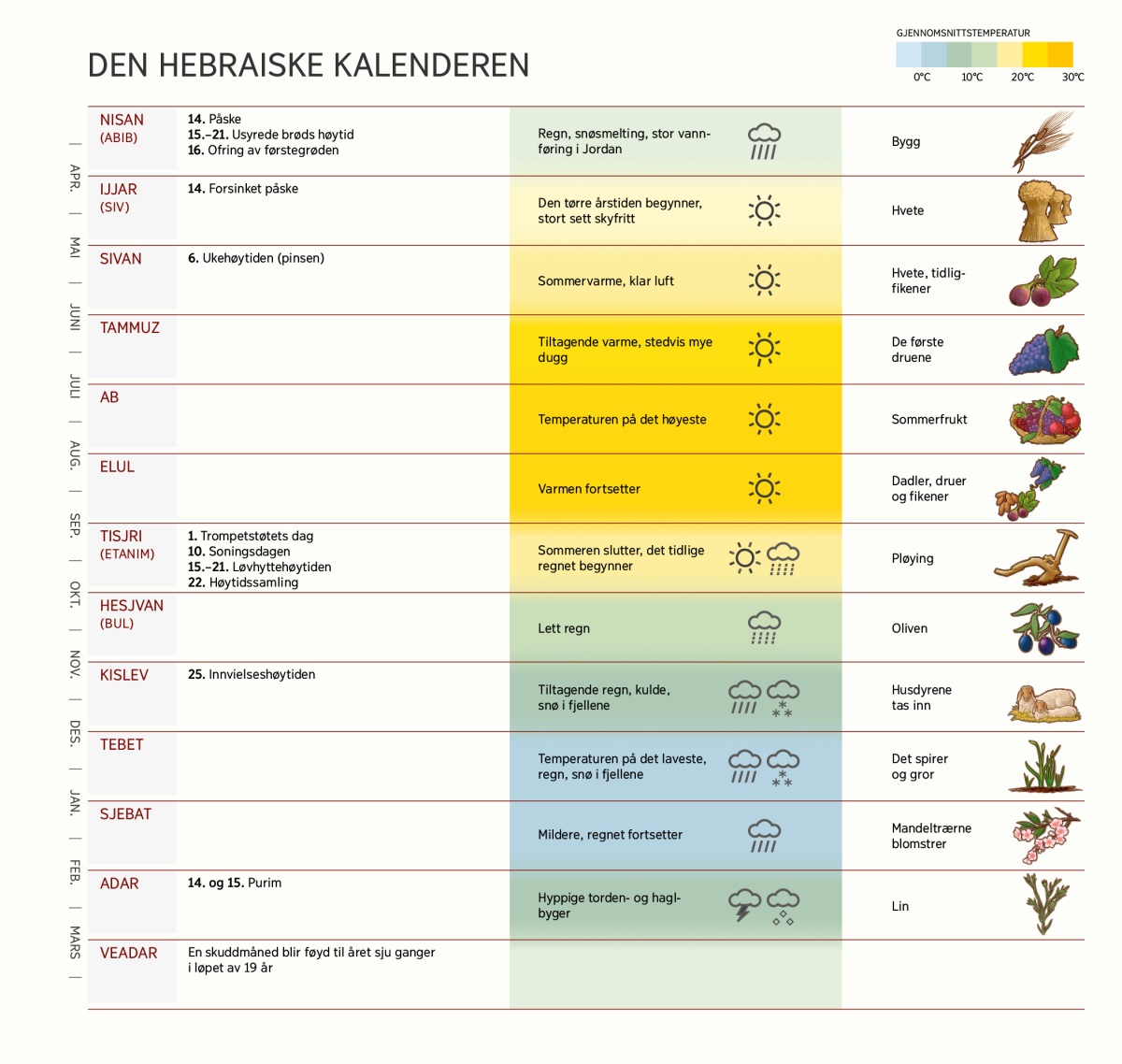 En oversikt over den hebraiske kalenderen som viser måneder, høytider, værforhold og hva som ble høstet.