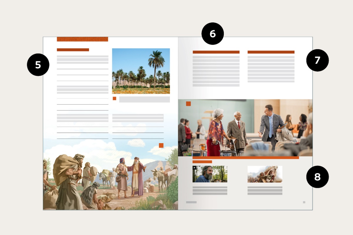 En illustrasjon av sidene 30 og 31 som viser hvor du kan finne punktene 5–8 i denne publikasjonen.