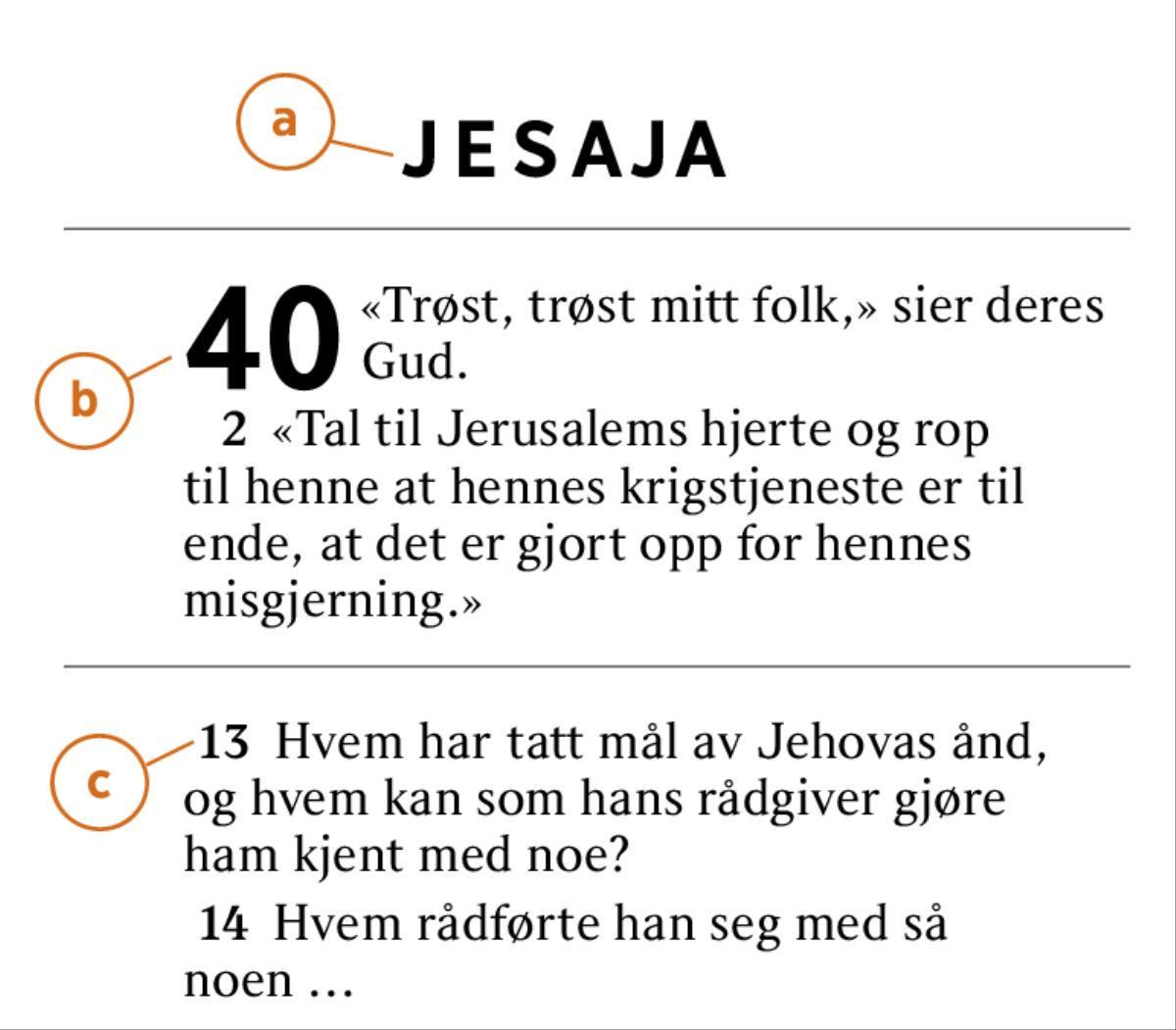 En passasje fra Bibelen er uthevet for å vise a) navnet på den bibelske boken, b) kapitlet og c) verset