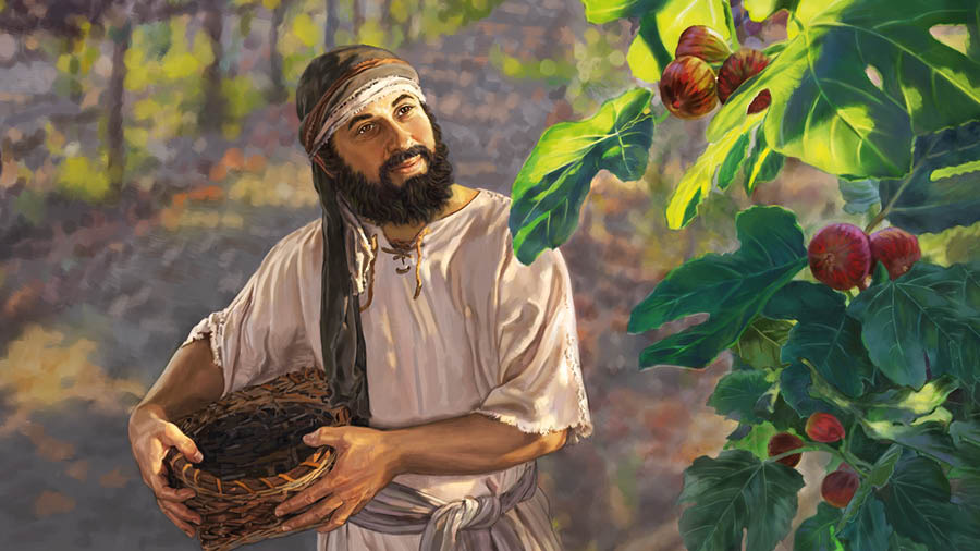 [Isithombe ekhasini 6]