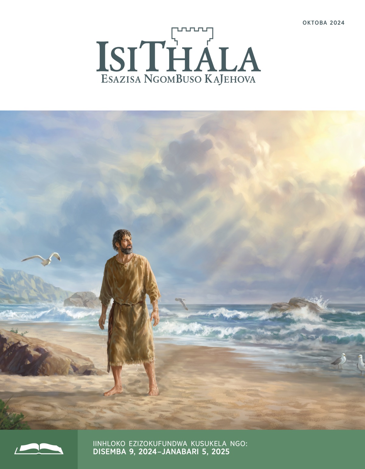 Umphorofidi uJona ujame emaphethelweni welwandle, uqale phezulu. Umanzi.