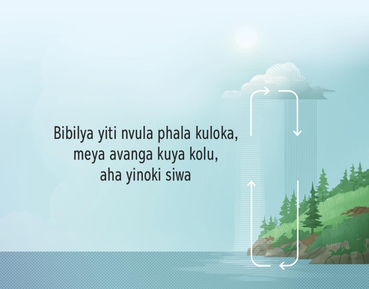 Bibilya iti nvula phala kuloka meya avanga kuya kolu, aha yinoki siwa.