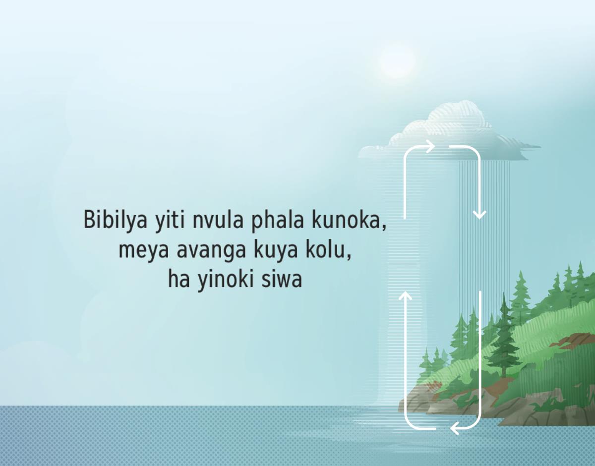 Bibilya iti nvula phala kuloka meya avanga kuya kolu, aha yinoki siwa.