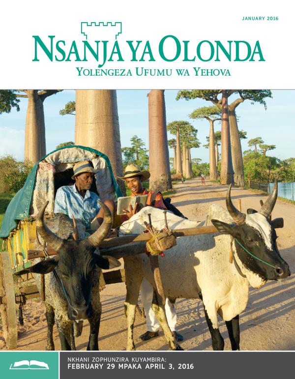 Chikuto cha Nsanja ya Olonda Yophunzira, January 15, 2016
