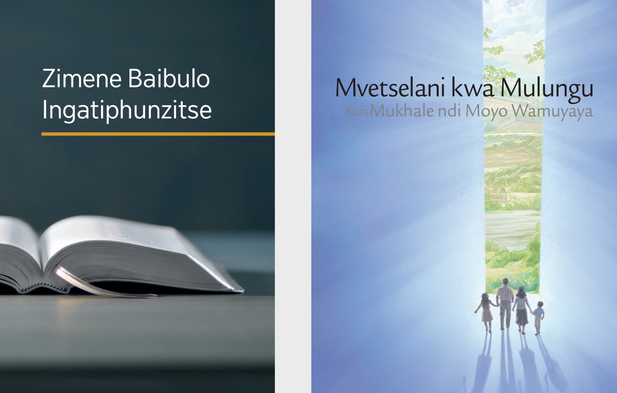 Buku lakuti ‘Zimene Baibulo Ingatiphunzitse’ na bulosha yakuti ‘Mvetselani kwa Mulungu Kuti Mukhale ndi Moyo Wamuyaya’