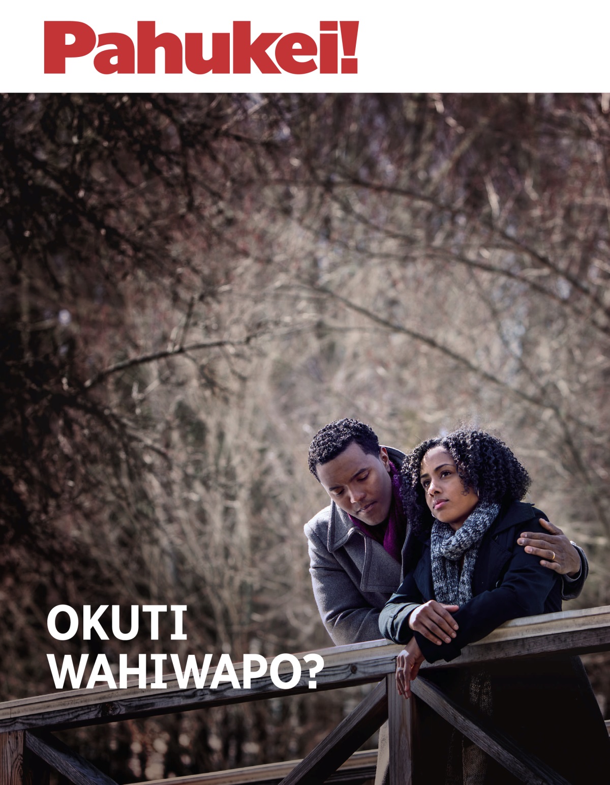 Pahukei! No. 3 2018 | Okuti Wahiwapo?