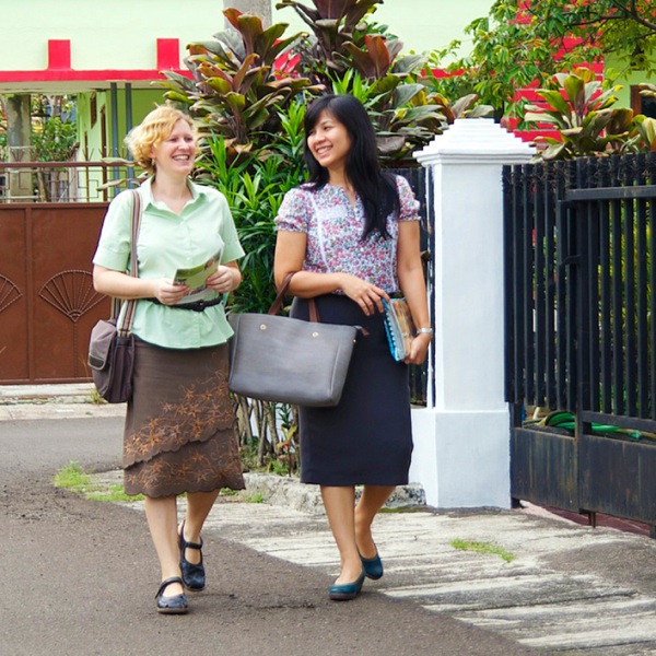 [Olutalatu pefo 28]