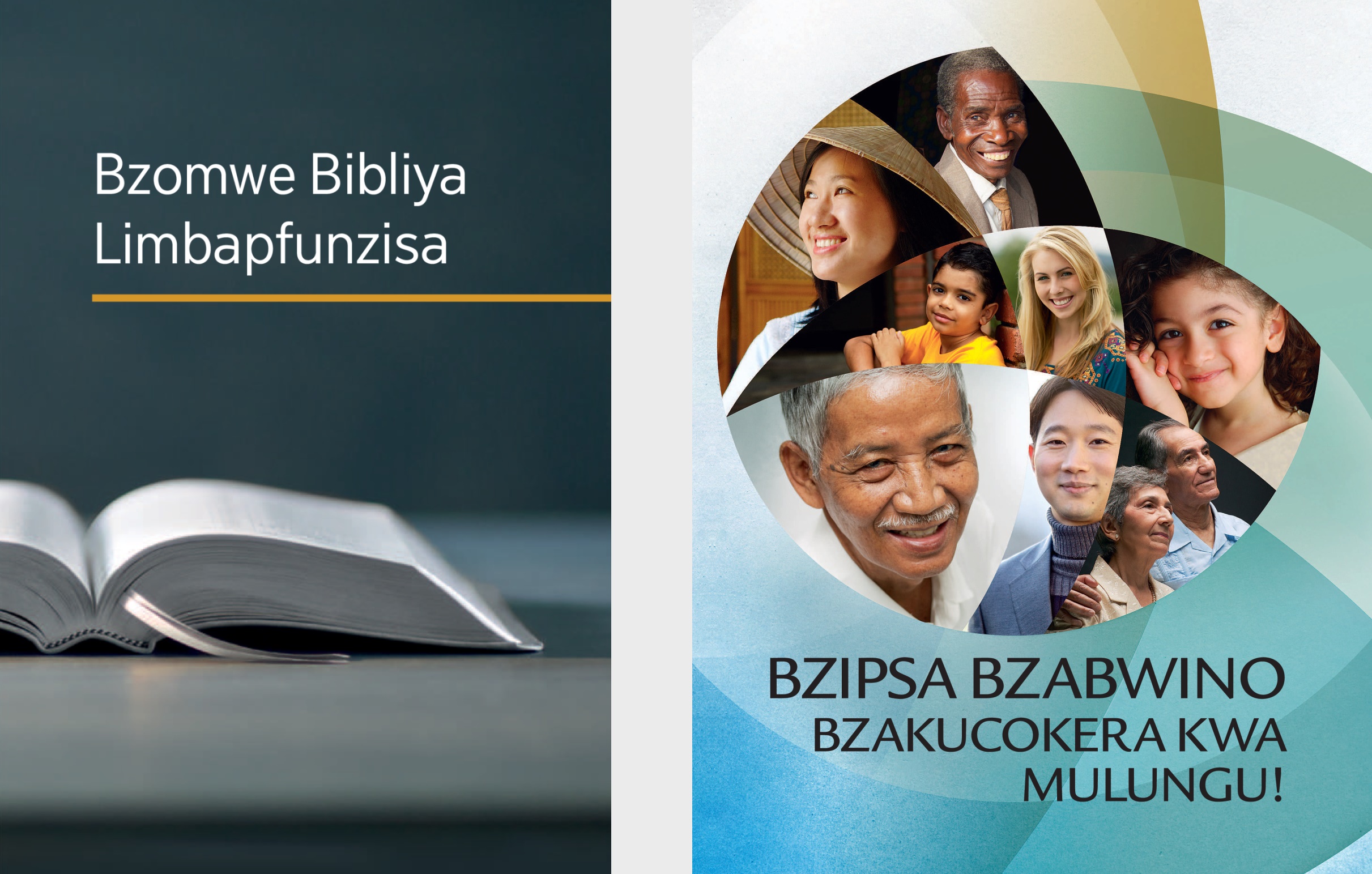 The book ‘What Can the Bible Teach Us?’ and the brochure ‘Good News From God!’