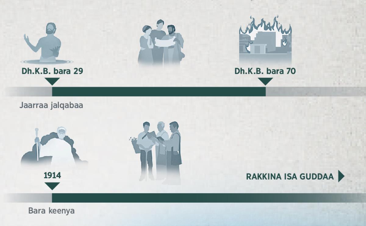 Lakkoofsa baraa Dh.K.B. bara 29 yeroo jaallatamee fudhatamee jalqabee hanga Dh.K.B. bara 70⁠tti, akkasumas 1914 hanga rakkina isa guddaatti