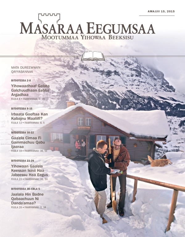 Qola Masaraa Eegumsaa Maxxansa Qayyabannaa, Amajjii 15, 2015