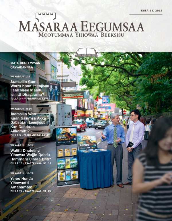 Qola Masaraa Eegumsaa Maxxansa Qayyabannaa, Ebla 15, 2015