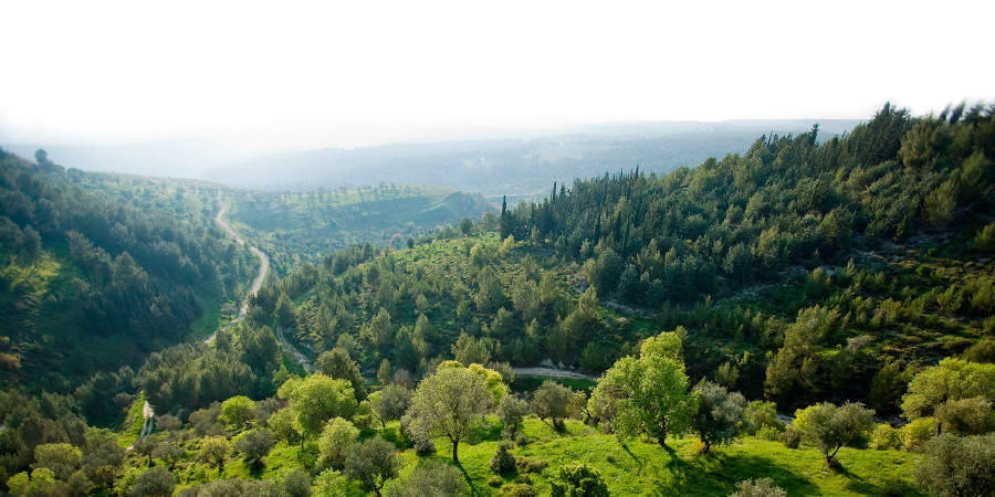 Bosona Biiriyaa, Galiilaa keessatti argamu