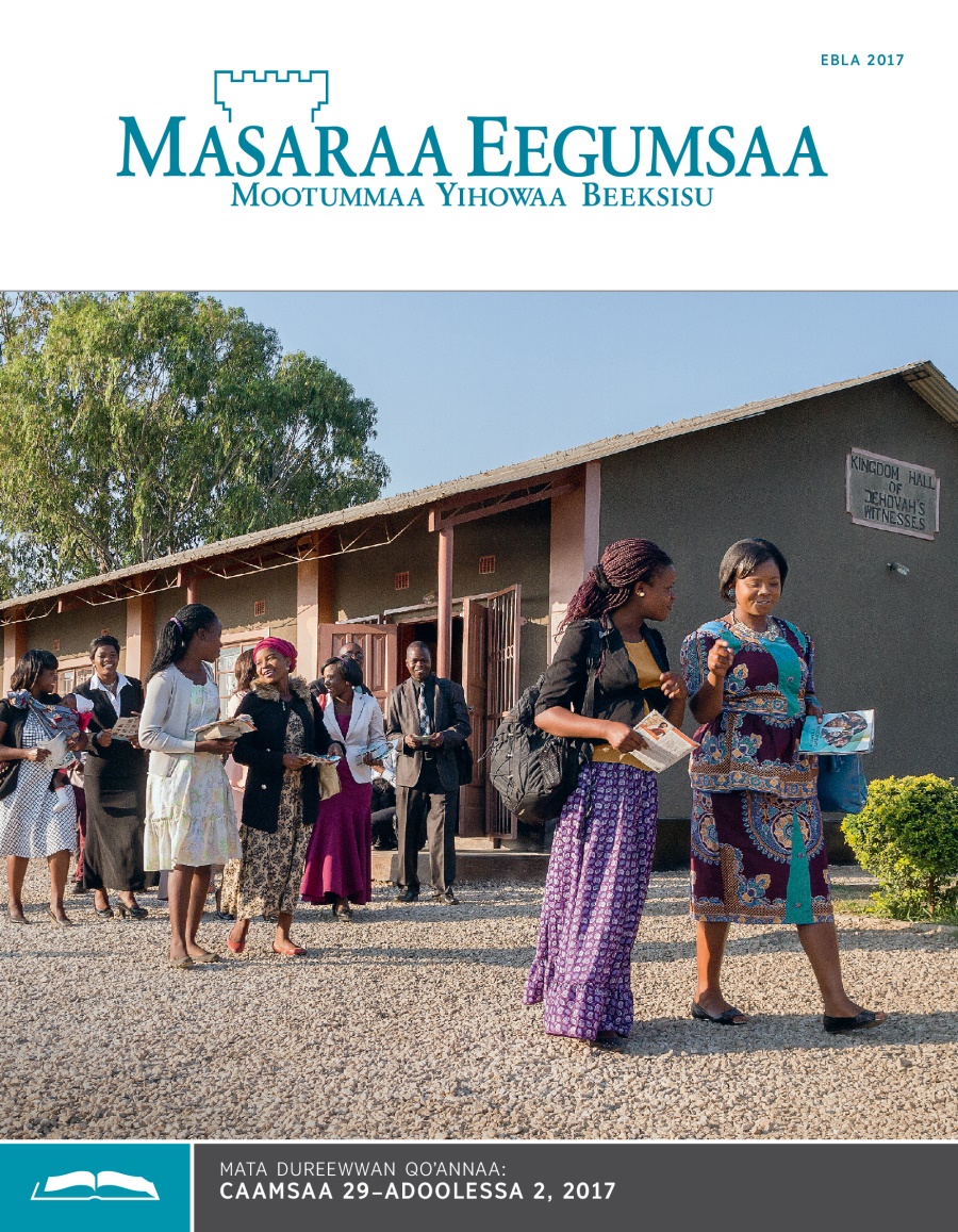 Masaraa Eegumsaa Maxxansa Qoʼannaa, Ebla 2017