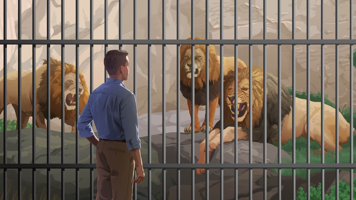 Nꞌa rä ku handi habu̱ xä jotꞌi yä lion.