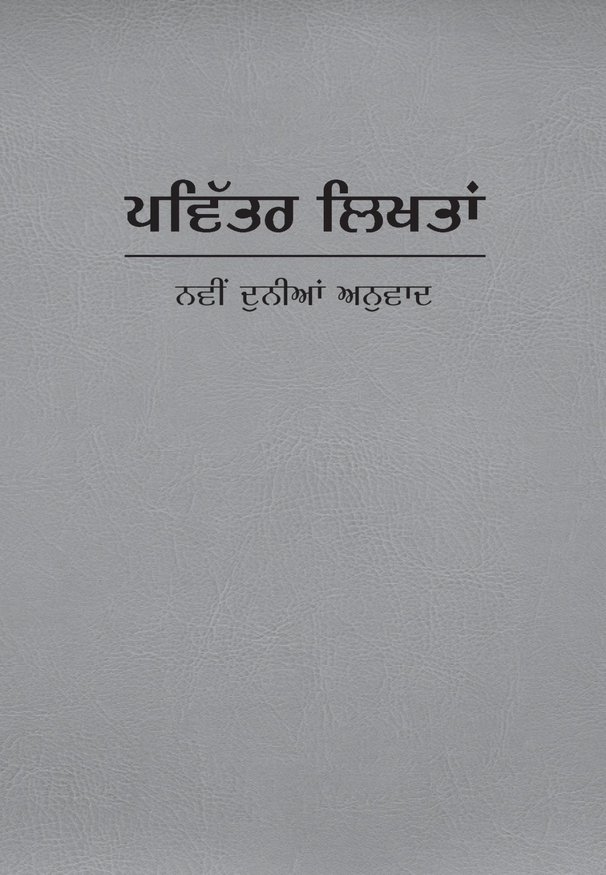 ਪਵਿੱਤਰ ਲਿਖਤਾਂ—ਨਵੀਂ ਦੁਨੀਆਂ ਅਨੁਵਾਦ ਦਾ ਕਵਰ