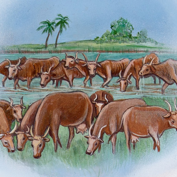 Seven fat cows, seven thin cows