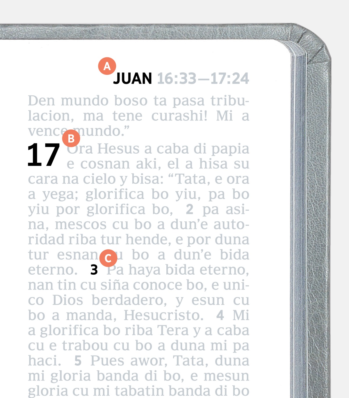 E letternan A, B y C ta indica algun detaye cu tin riba un pagina den Bijbel.