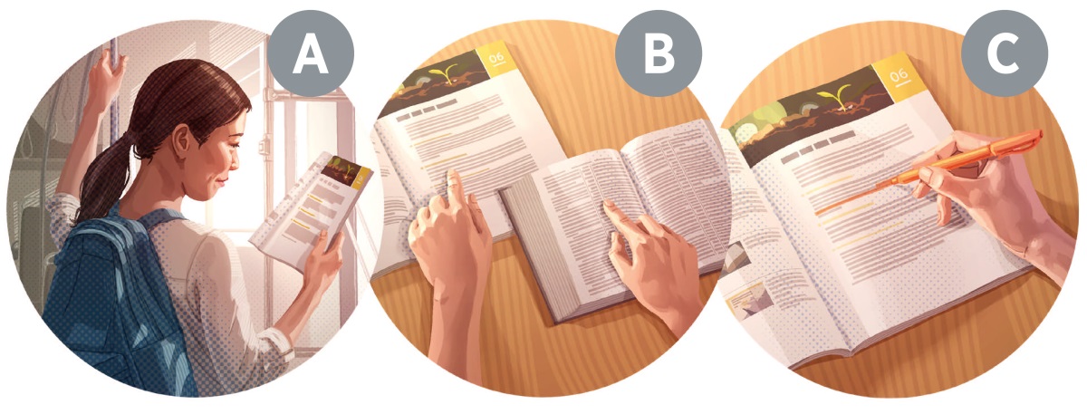 Collage: Un hende muher ta prepara pa su curso di Bijbel. A. E ta lesa e prome parti di e les. B. E ta lesa tur e textonan menciona den e les for di su Bijbel. C. E ta marca e palabra- y frasenan principal cu tin den e les pa contesta e pregunta.