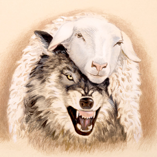 Lobo bistí na kueru di karné