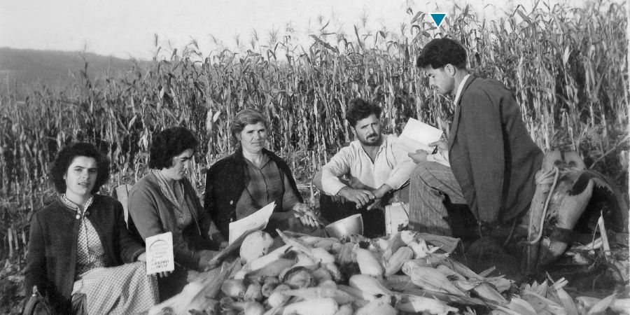 Demetrius Psarras i su amigunan ta reuní den un kunuku di maishi