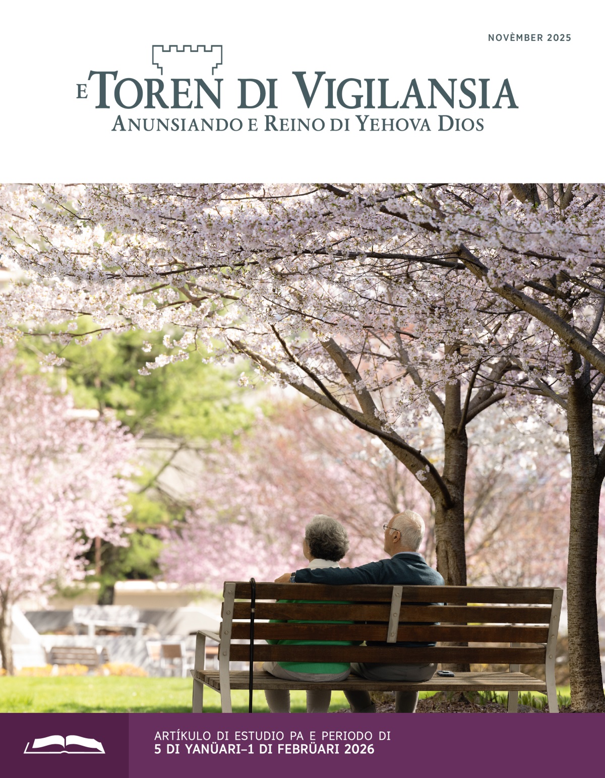 Un pareha di edat ta sintá riba un banki pafó, rondoná pa palu di sakura tur na flor.