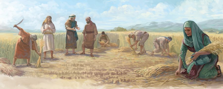 Ruth dey gather wetin remain for Boaz farm