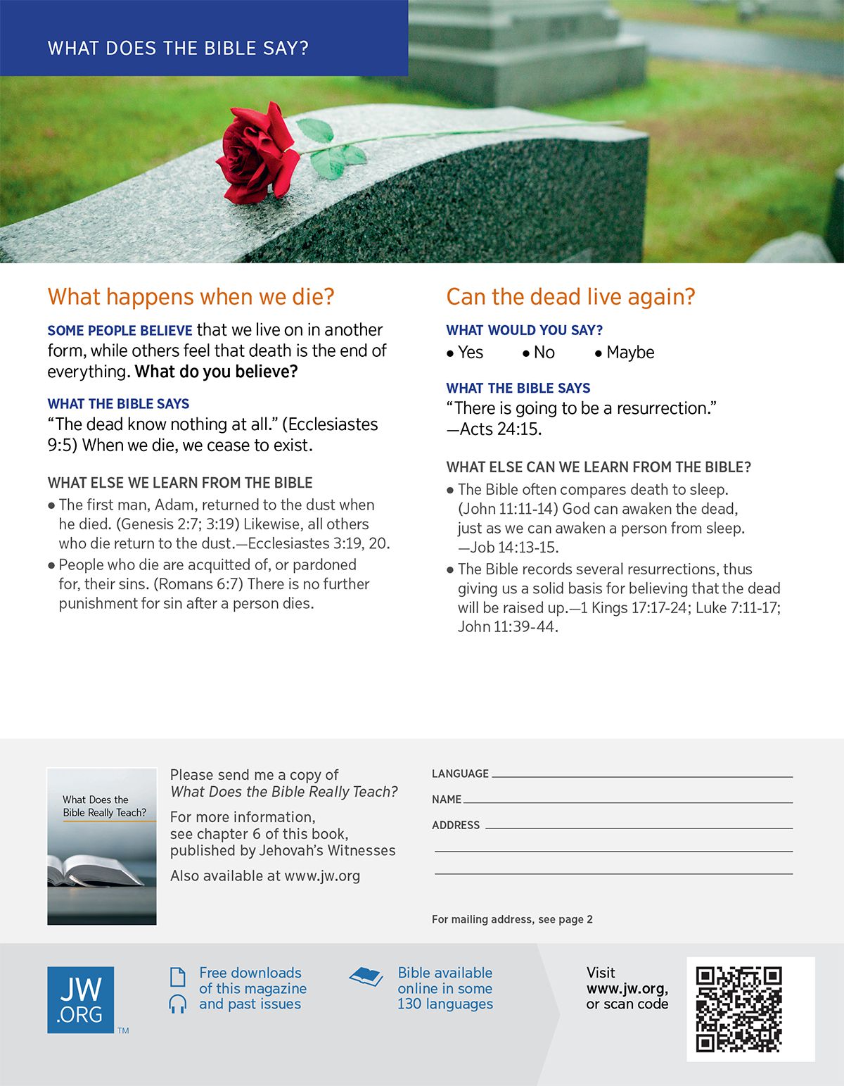 Flower on top grave