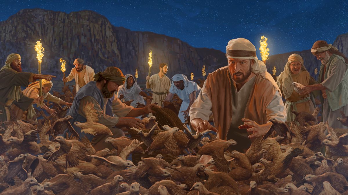 De Israeliten enne Wiltnis schaufen de Nacht, om väl Väajel to saumlen.