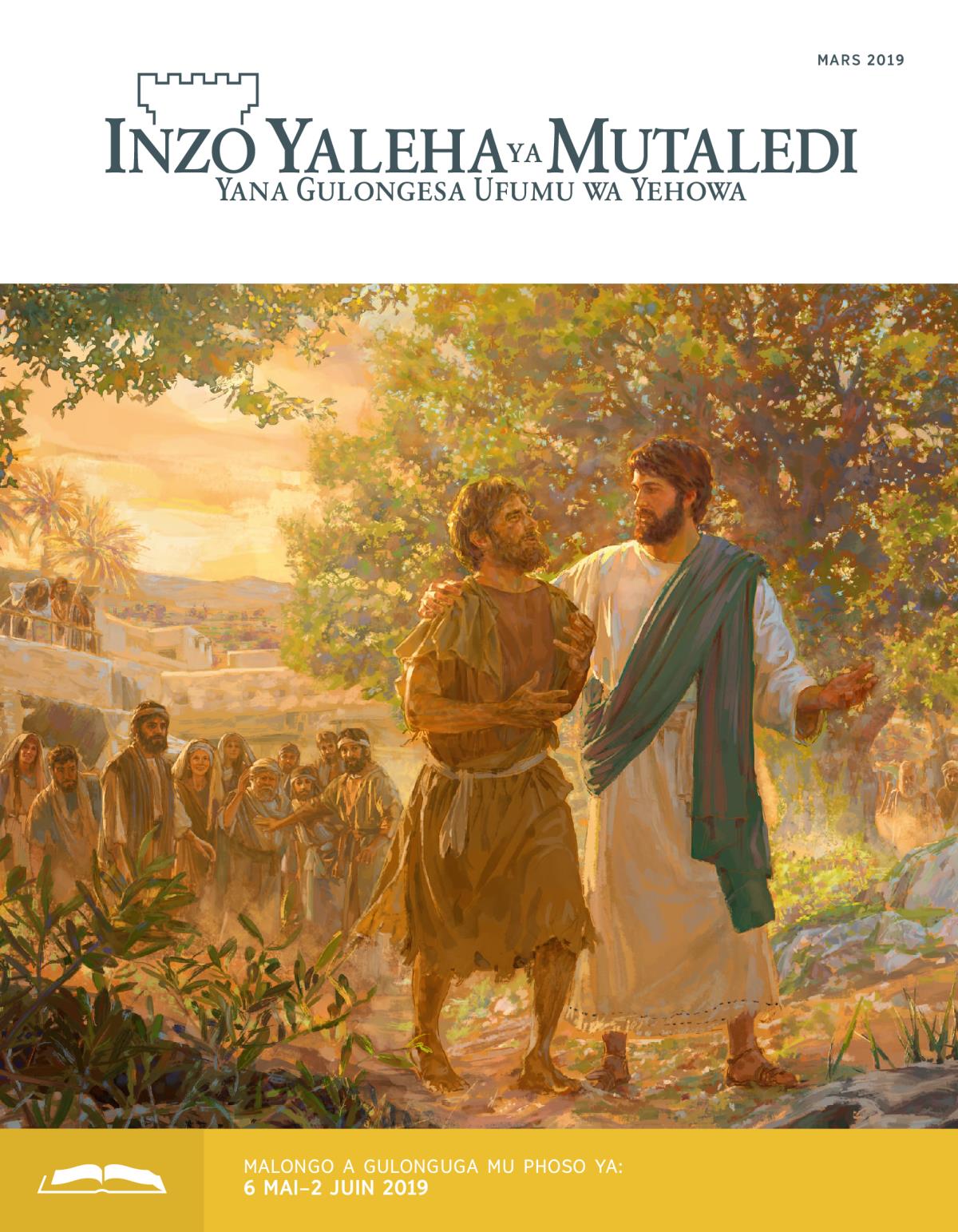 Inzo Yaleha ya Mutaledi ya Gulonguga, Mars 2019
