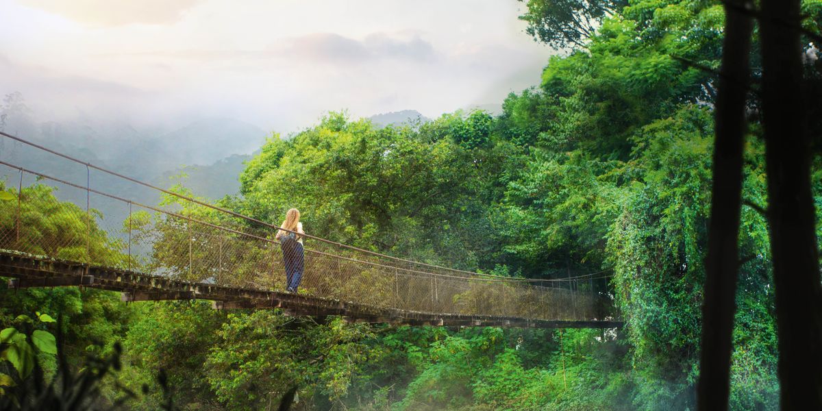 Wanfala woman wakabaot antap wanfala bridge lo forest.