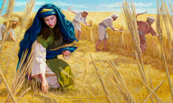 Ruth hambol for pikim barley taem hem followim olketa wakaman lo field