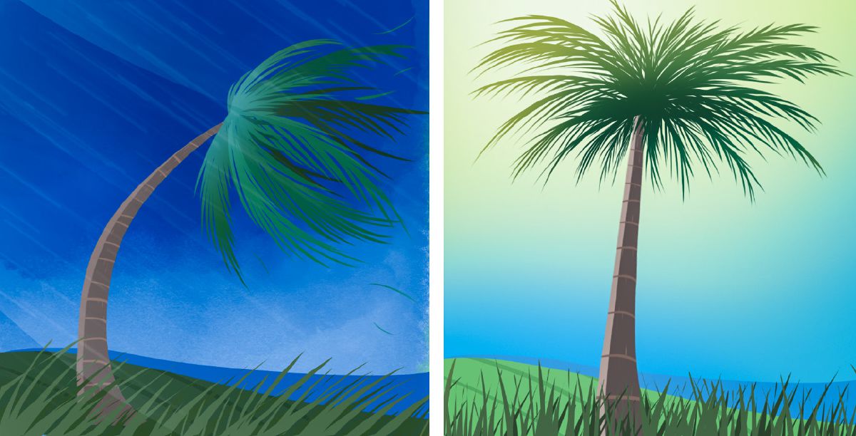 Tufala piksa showim difren samting wea happen lo palm tree. 1. Tree hem bend taem big wind hem blow. 2. Tree standap stret taem wind hem finis.