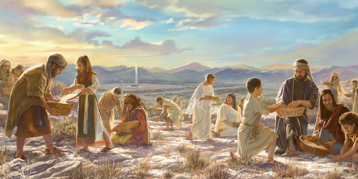 Olketa Israelite kolektem manna