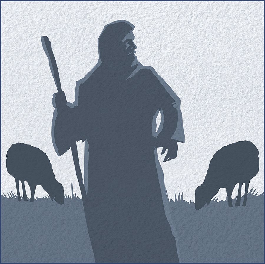 Wanfala shepherd