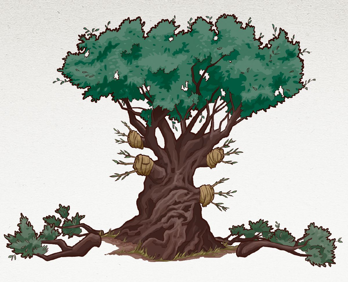 Tokpiksa olive tree long Rome 11