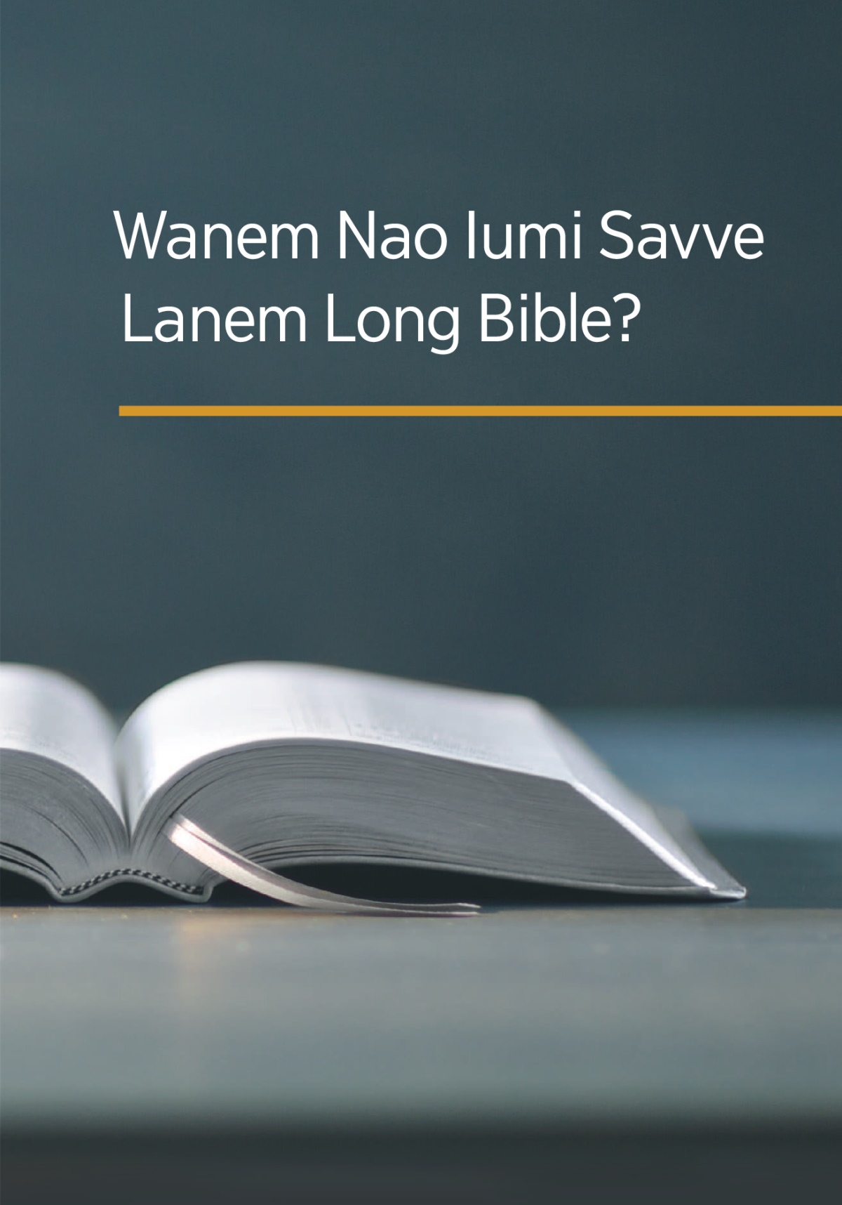 ‘Wanem Nao Iumi Savve Lanem Long Bible?’ buk