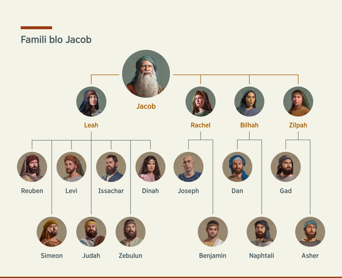 Wanfala chart wea showim famili tree blo Jacob. Hem garem tufala waef, Leah and Rachel, and tufala concubine, Bilhah and Zilpah. Olketa pikinini blo hem lo Leah hem Reuben, Simeon, Levi, Judah, Issachar, Zebulun, and Dinah. Olketa pikinini blo hem lo Rachel hem Joseph and Benjamin. Olketa pikinini blo hem lo Bilhah hem Dan and Naphtali. Olketa pikinini blo hem lo Zilpah hem Gad and Asher.
