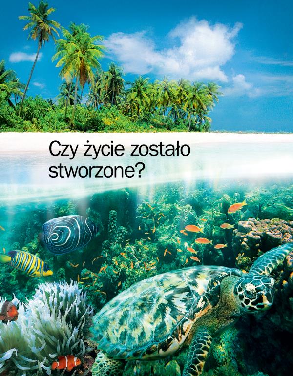 Okładka broszury „Czy życie zostało stworzone?”