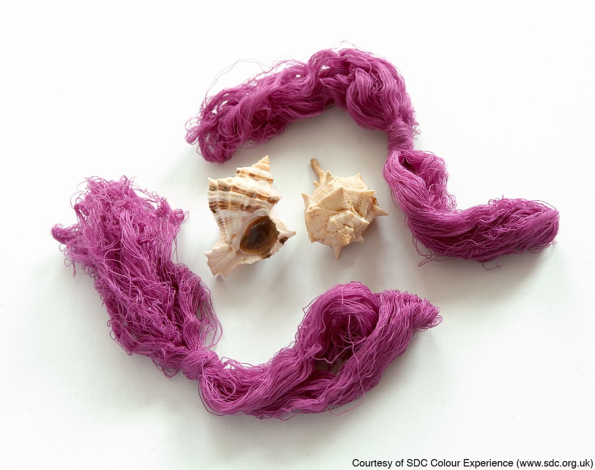 Purpurowy barwnik