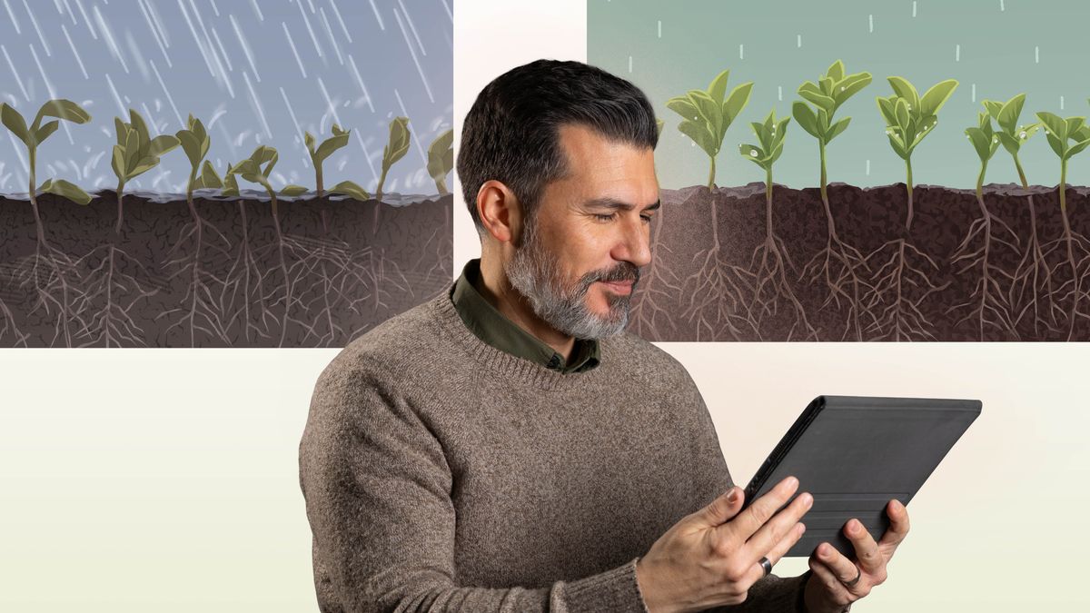 Un hermano lee la Biblia. Dibujos: 1. La lluvia cae con fuerza y encharca la tierra en la que crecen unas plantas. Como resultado, las plantas sufren daños. 2. La lluvia cae poco a poco, y la tierra en la que crecen unas plantas la absorbe. Como resultado, las plantas crecen fuertes y sanas.