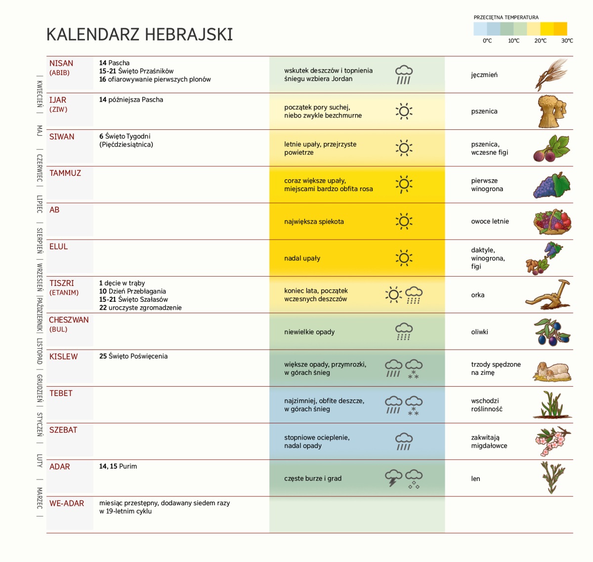 Tabelka przedstawiająca kalendarz hebrajski. Zaznaczono na niej miesiące, różne święta, warunki pogodowe oraz czasy zbioru różnych roślin.