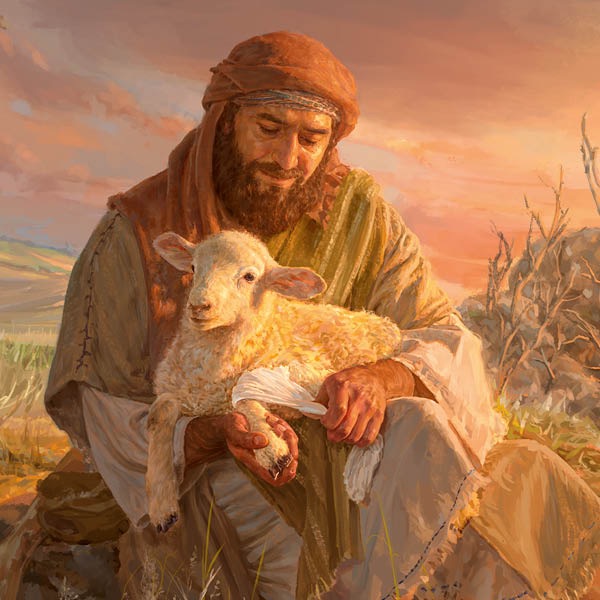 The Watchtower Study Edition, June 2020.