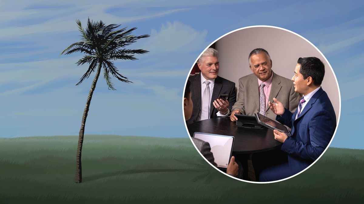 A árvore flexível da outra imagem inclina-se um pouco por causa do vento forte. Em destaque, uma reunião de anciãos. Um ancião mais jovem está a falar enquanto os outros anciãos ouvem com atenção.