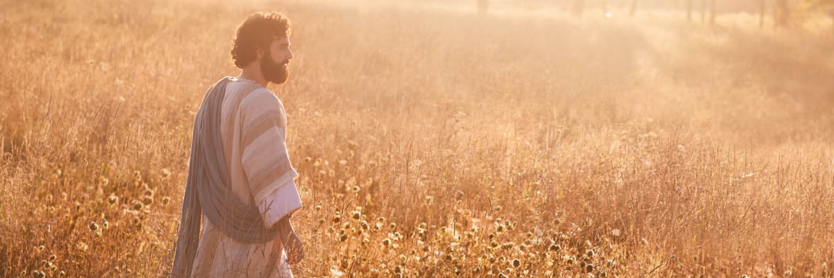 Jesus a caminhar por um campo.