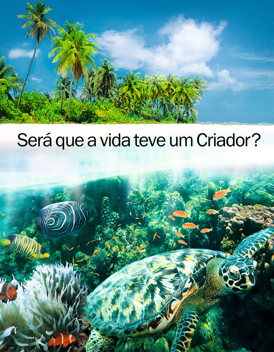 Será Que a Vida Teve Um Criador?
